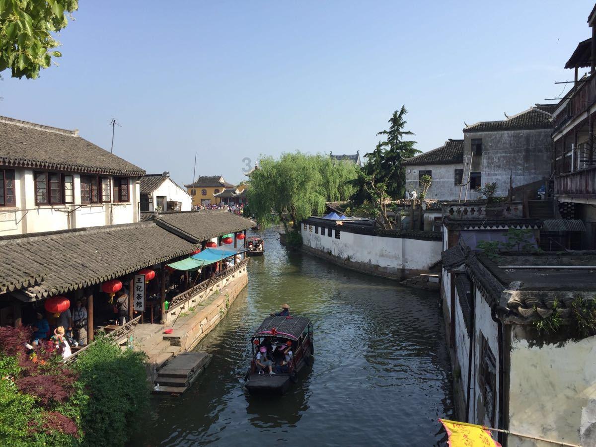 小僵尸射飞鸟